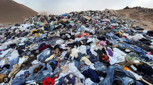 The Real Cost of Fast Fashion