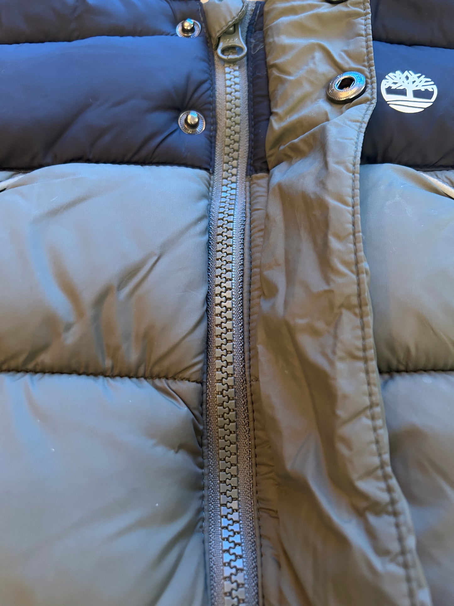 Timberland Winterjas - maat 74 (12M)