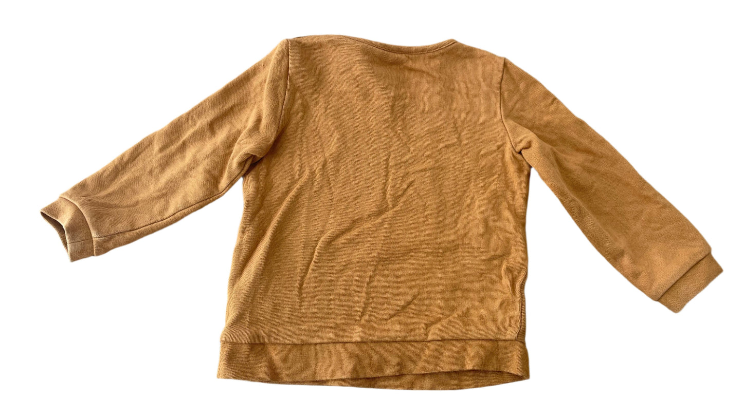 Trui met lange mouwen - maat 80 (9-12M)