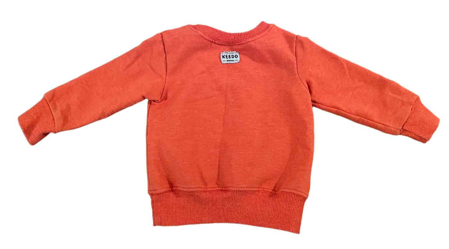 Long-sleeve sweater - size 68 (4-6M)