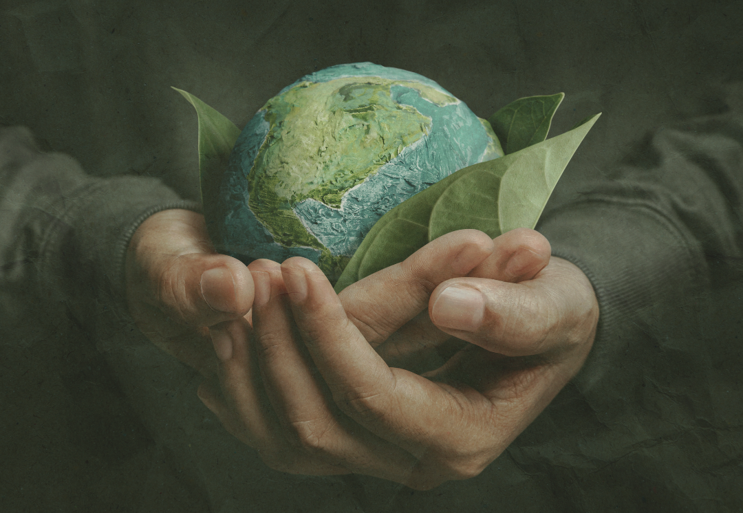 Tiny Threads, Big Impact: The Environmental Footprint of Baby Fashion