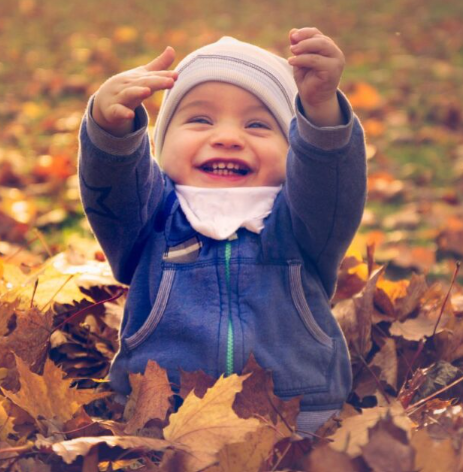 Autumn & Winter