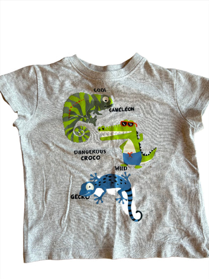 Grijs Cool Chameleon Shirt - maat 92 (18-24M)