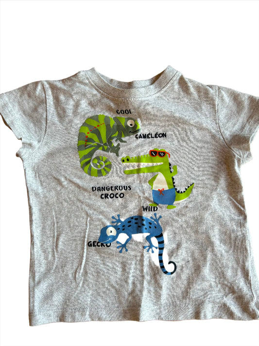 Grijs Cool Chameleon Shirt - maat 92 (18-24M)