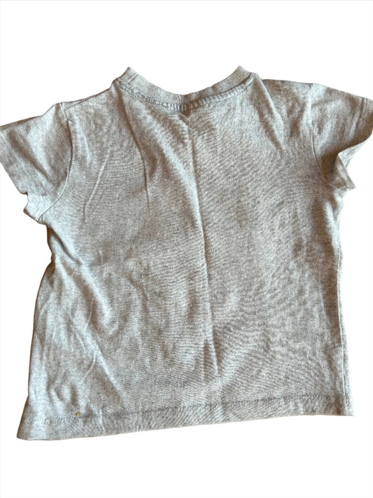 Grijs Cool Chameleon Shirt - maat 92 (18-24M)