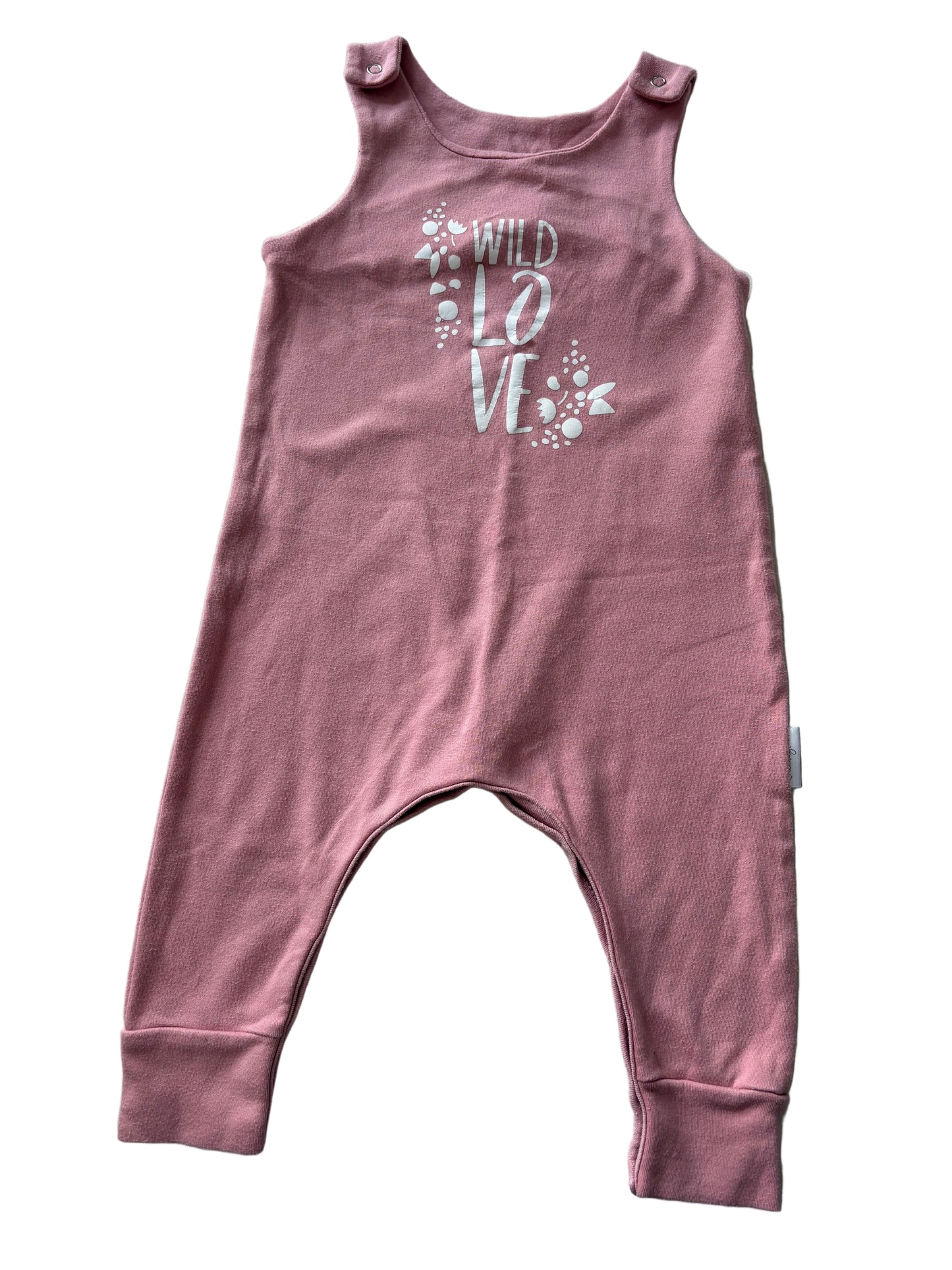 Two Dungarees - Size 92 (18-24M)