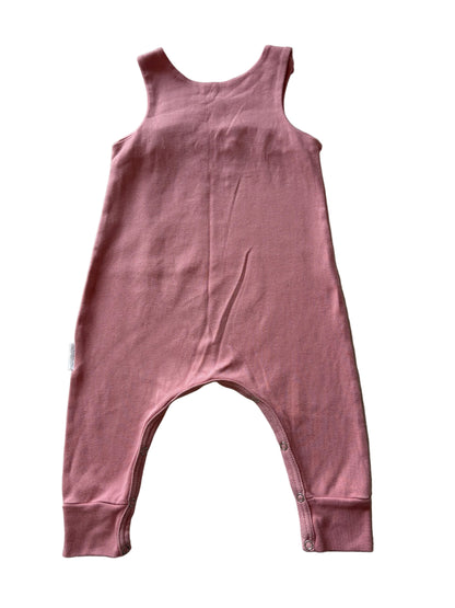 Two Dungarees - Size 92 (18-24M)
