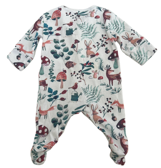 Onesie met lange mouwen - maat 50 (pasgeboren)